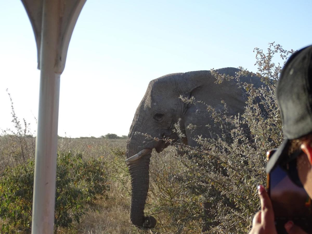 Вілла Etosha King Nehale Omuthiya Екстер'єр фото